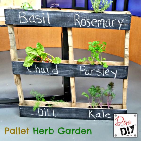 A quick and easy DIY pallet garden idea for your outside herbs. The perfect garden for a beginner with very little space to garden in great for flowers too!