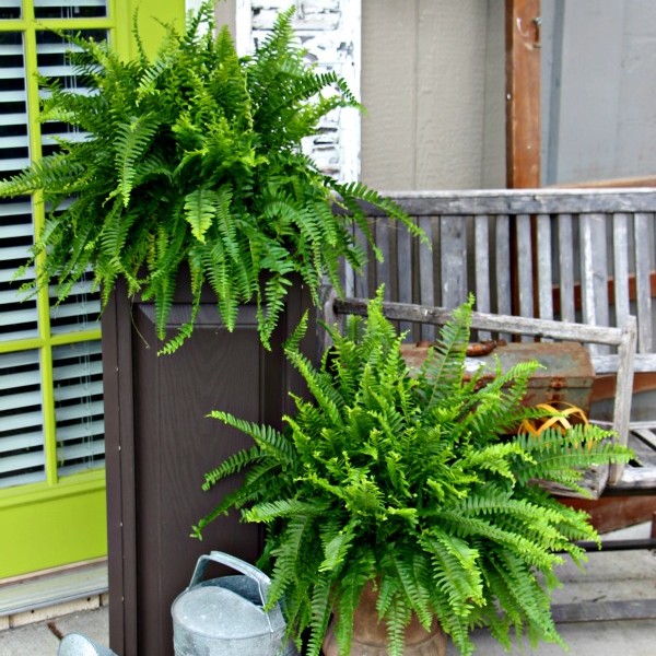 How to Make a Unique DIY Cooler: Pallet Outdoor Drinking Station | Diva ...