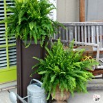 Wanting big planters that make a statement but do not want to pay up to $100 a piece for them? Then I have the perfect DIY planter boxes for you!