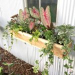 Looking to up your curb appeal game? Try these easy DIY cedar window boxes that will look amazing and are so easy they can be done in an afternoon!