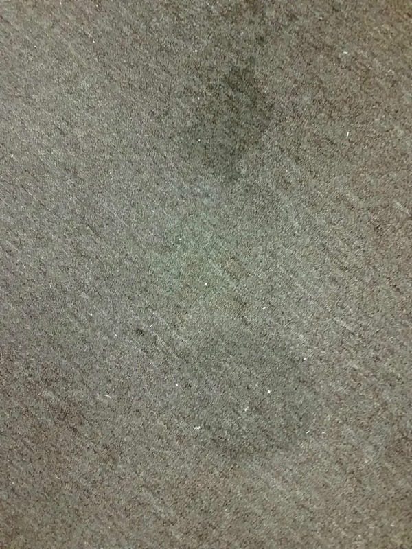 How To Remove Stains From Carpet The Easy Way