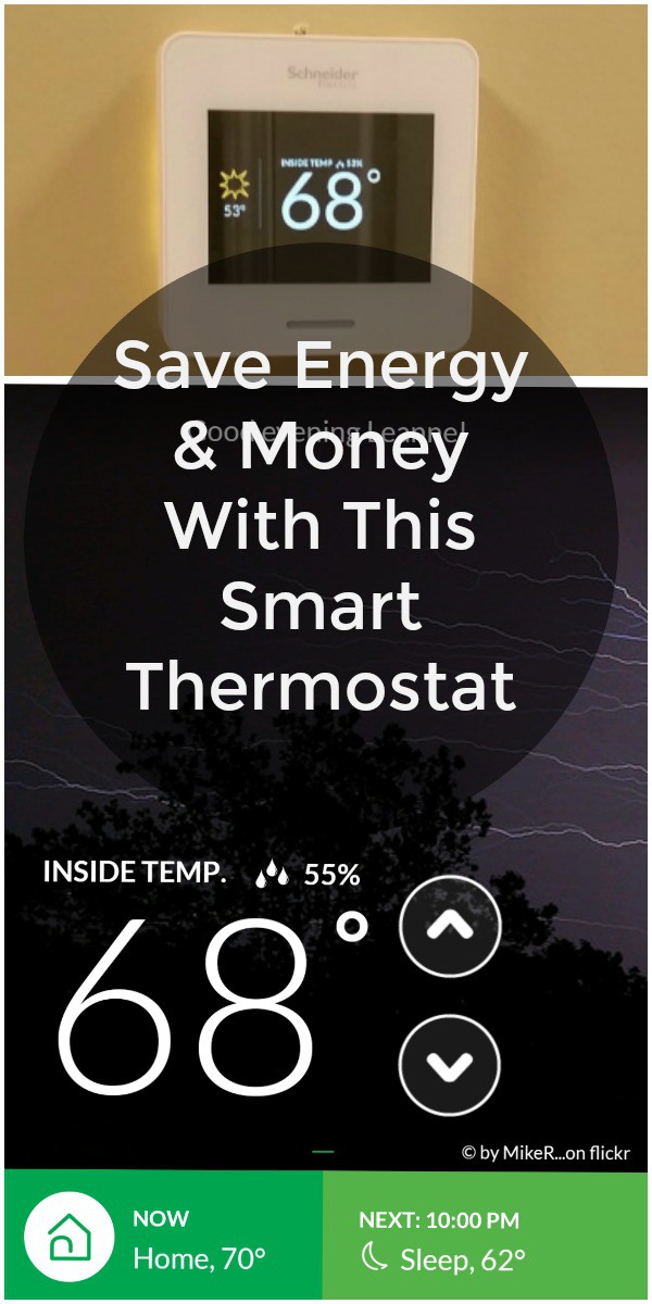 Save Energy and Money With This Smart Thermostat Diva of DIY