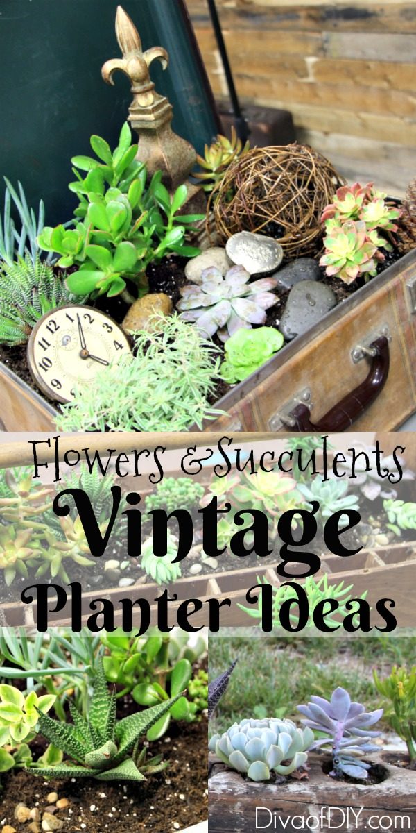 Try these unique outdoor flower planter ideas from repurposed items Great flower ideas for a flower garden in front of the house or indoor succulent garden!