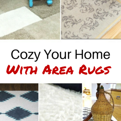 Area Rugs to Cozy Up Your Home in the Winter Months