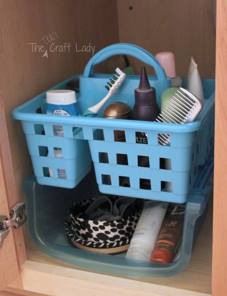 Dollar Store Bathroom Organizing Diva of DIY