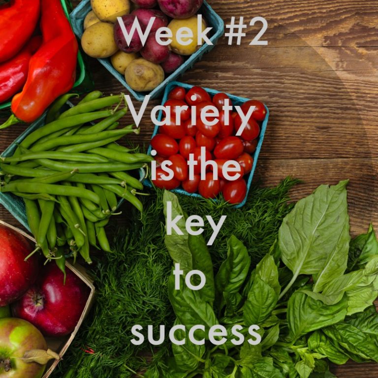 Week 2 – Your Healthy Eating Plan Must Have Variety