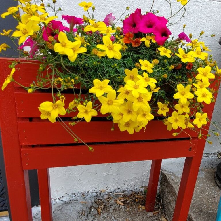 Raised Garden Planter: An Easy Wood Crate Project