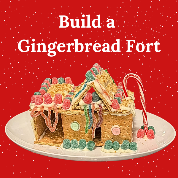 fort made with gingerbread house frosting